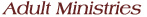Adult fellowship